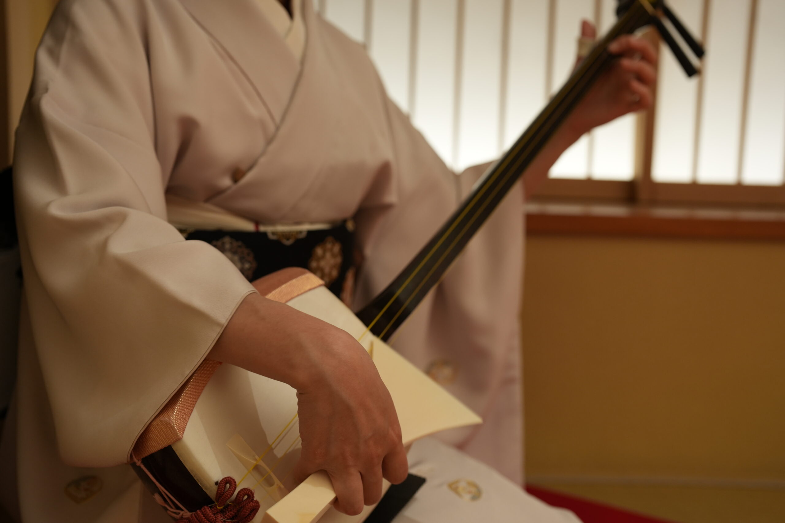 A geisha playing shamisen during an ozashiki banquet performance