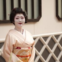 Geisha in a pale pink kimono with an ornate obi, standing against a beige wall with a decorative lattice behind her.