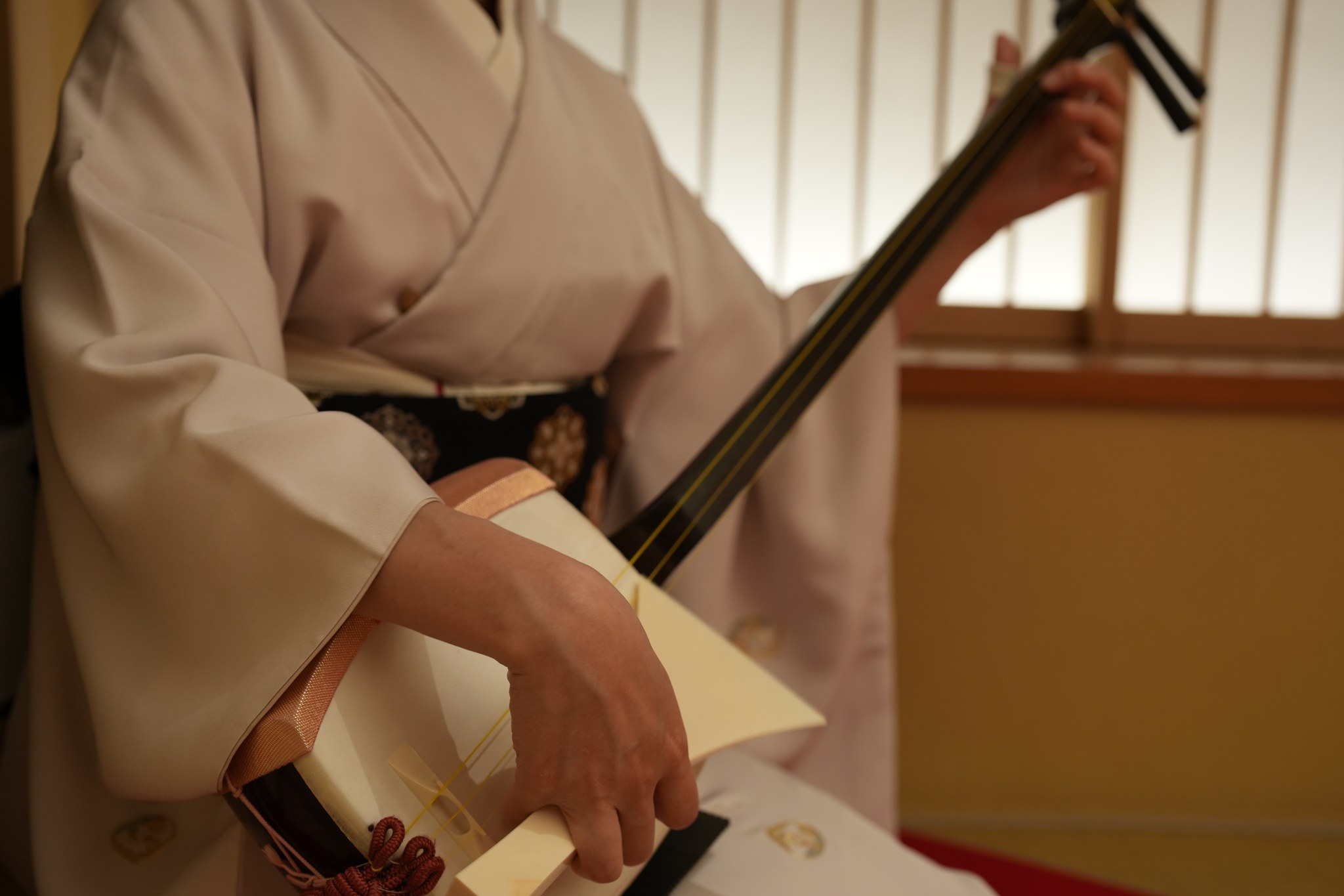 A geisha in a white kimono playing the shamisen before a shoji screen at Miyakodori