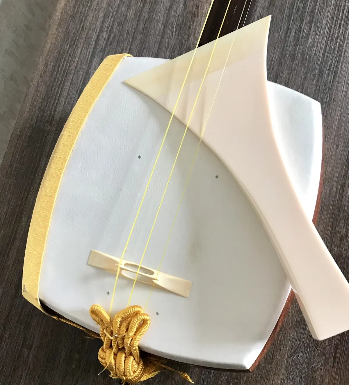 shamisen body skin traditional material close up