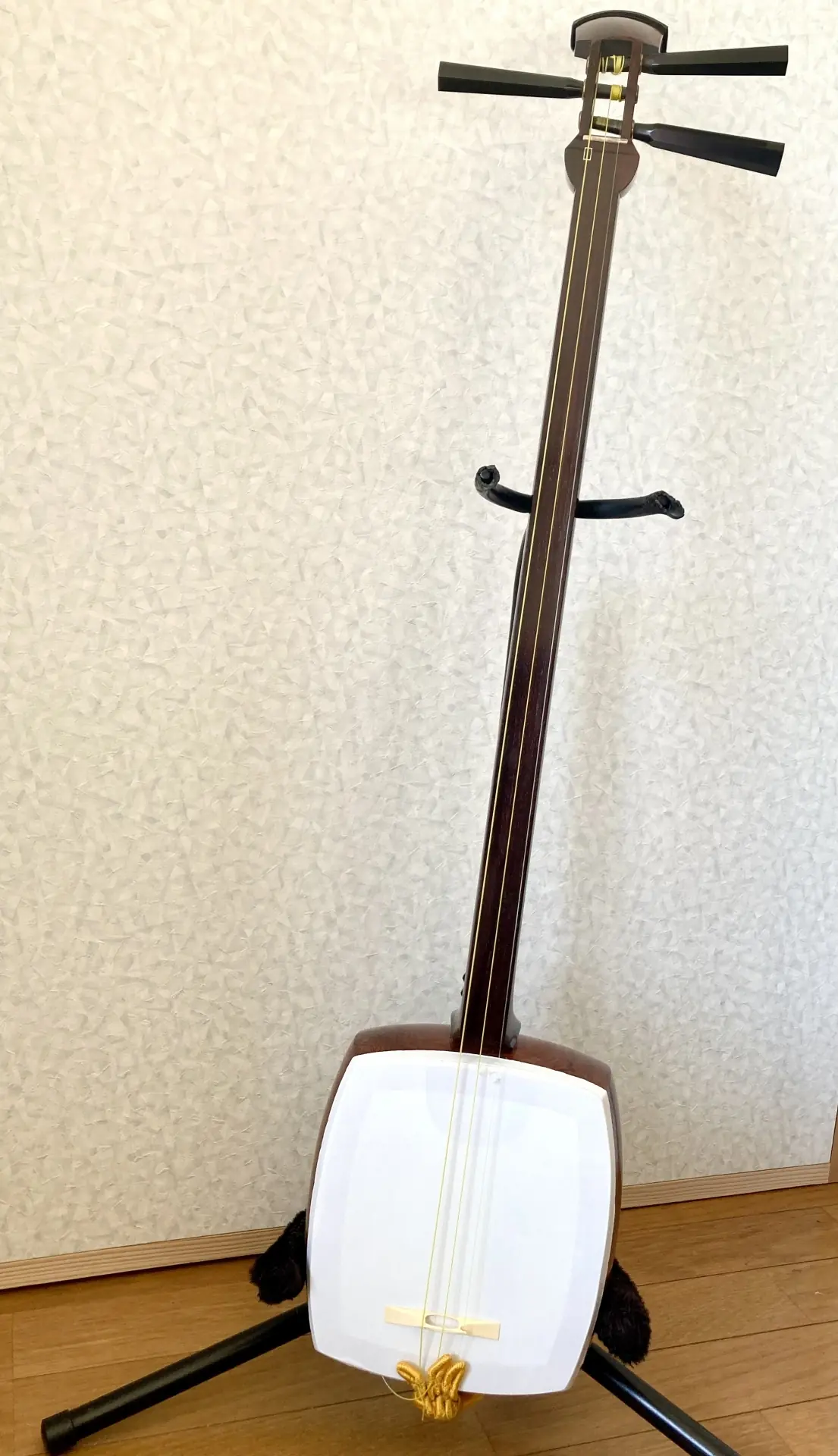 shamisen traditional Japanese three-stringed lute instrument
