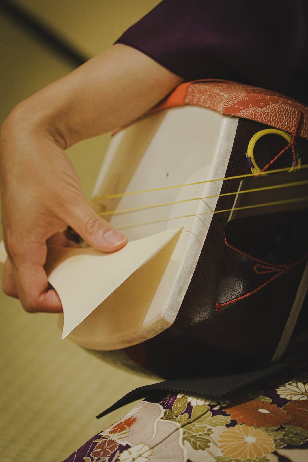 A geisha playing live shamisen at close range inside a private ozashiki room at Miyakodori in Asakusa