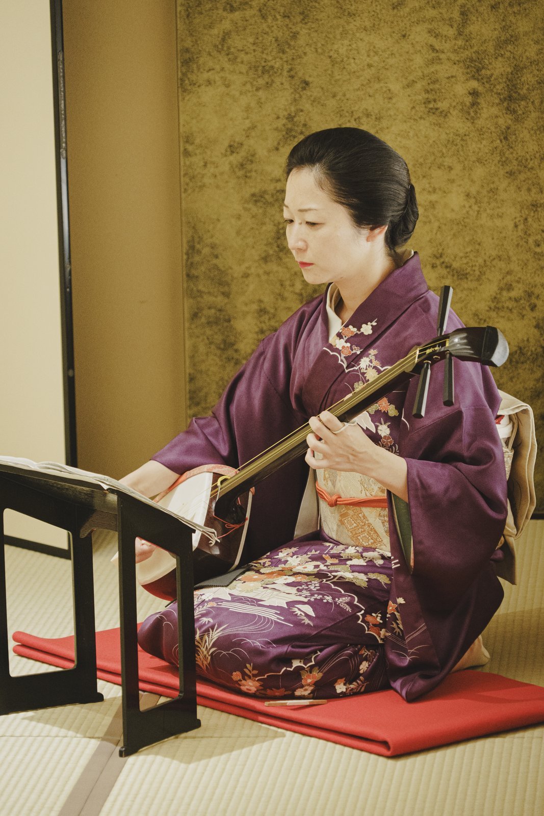 An Asakusa geisha playing the shamisen at an ozashiki