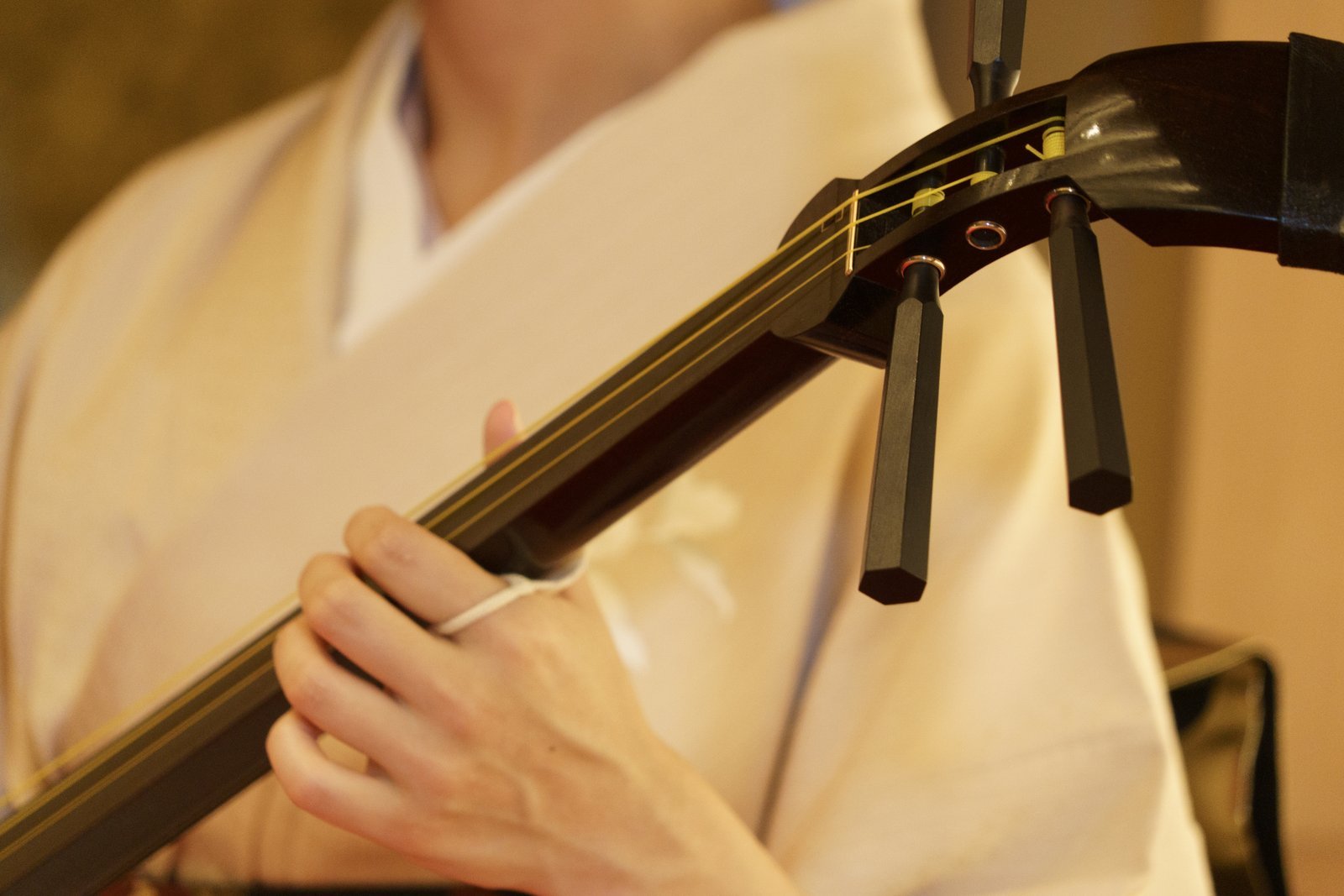 An Asakusa geisha playing the shamisen at close range during a private ozashiki