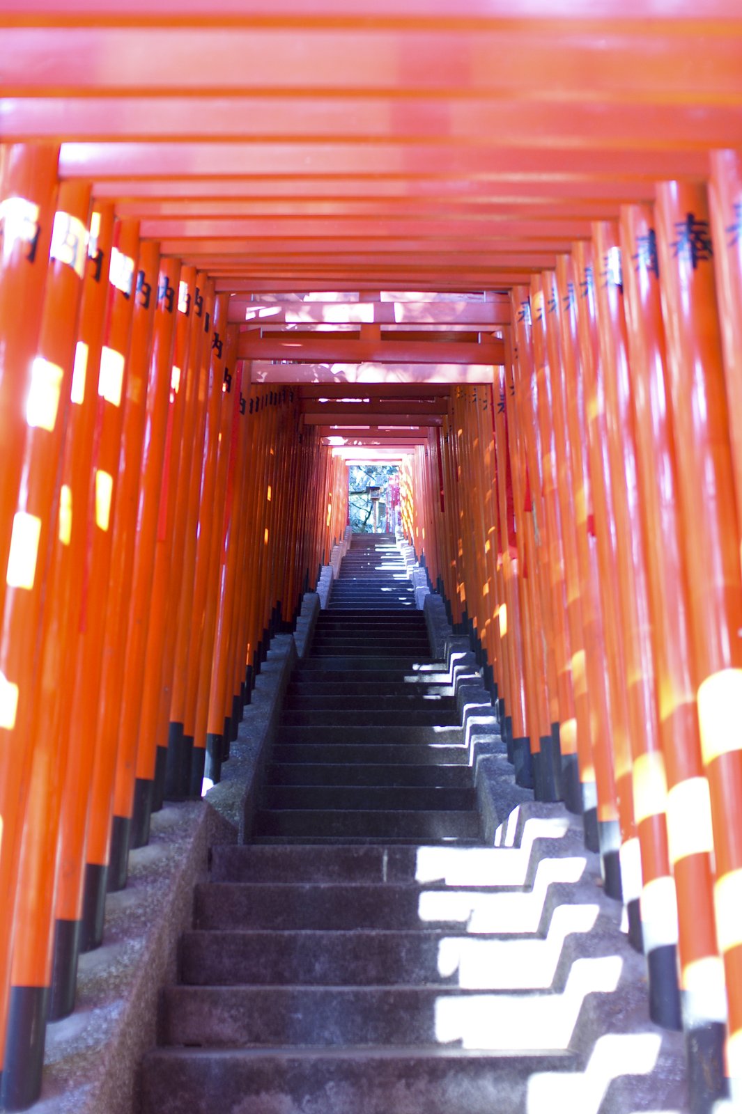 Rows of red torii gates over the stone steps at Hie Shrine in Akasaka