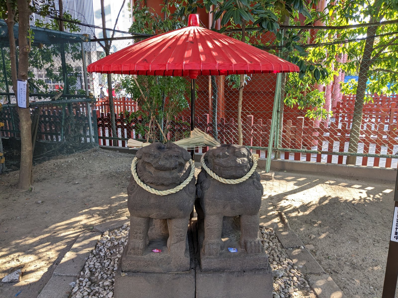A pair of stone komainu guardian dogs under a red parasol at Asakusa Shrine